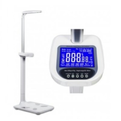 Digital Weighting Scale