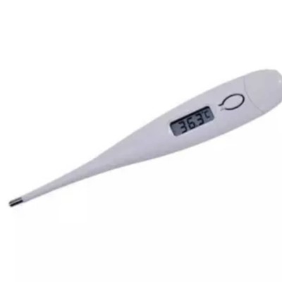 Digital Thermometer